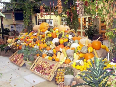 Heligan Pumpkins